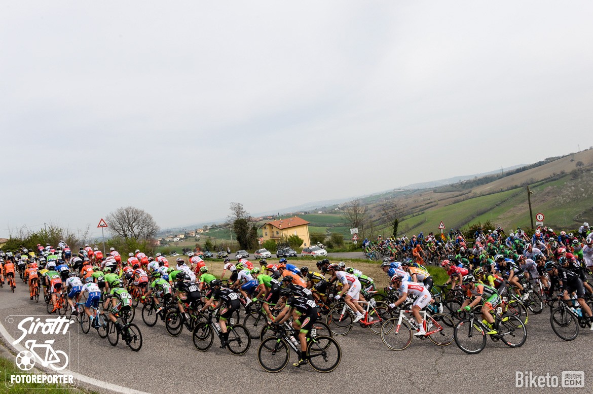 ��Ƥ,�Ͷ�����