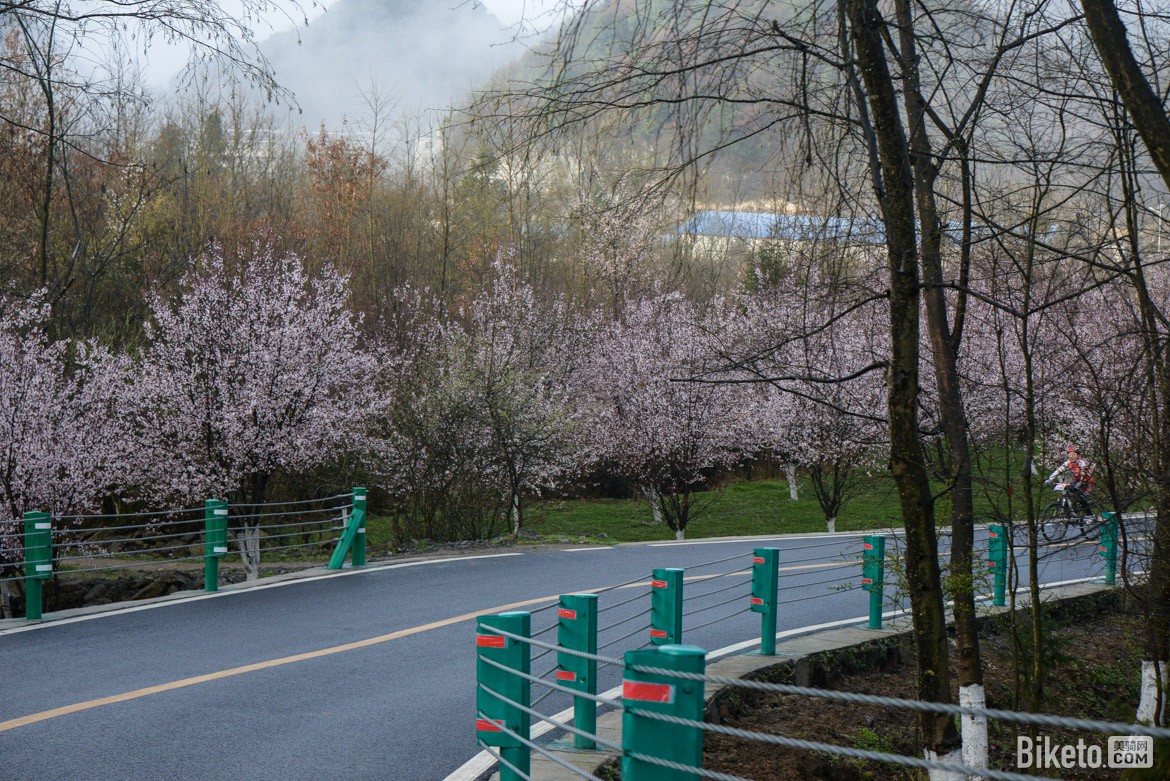 ����,����ž�,ɽ��