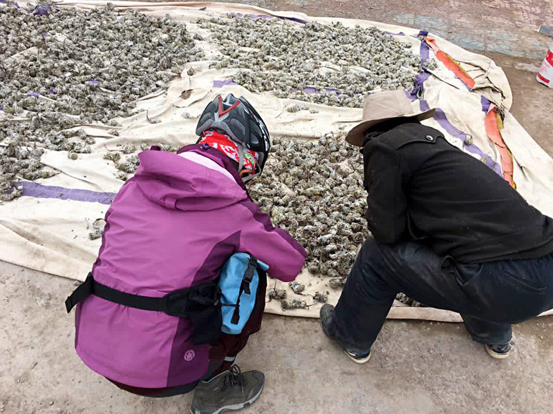 �����μ�,�����,��������