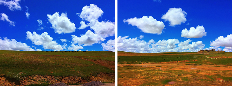 �����μ�,�����,��������