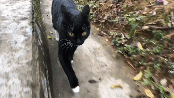 ����˵ | ���첻���� �������ö���ѧ������ַɰ�����