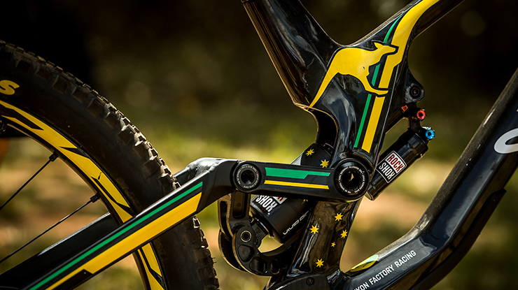 ����ʢ�磺ɽ������������Ϳװ���ƴ������