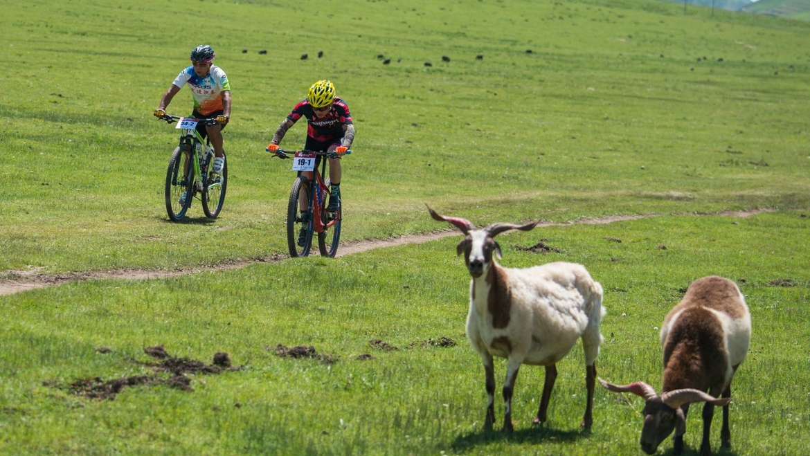 Ϊʲô��һ��Ҫȥ���ϣ��𰸲�������