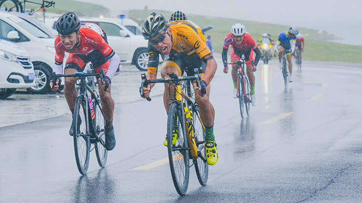 �����̶Ծ� ����Σܲ���� ������ľ�������չ�