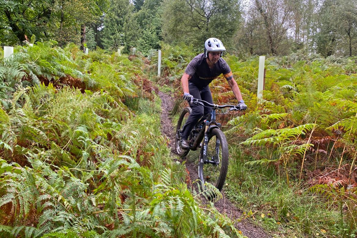 Review-all-new-2023-YT-Jeffsy-gen3-carbon-trail-mountain-bike_greasy-Forest-of-Dean-ferns.jpg