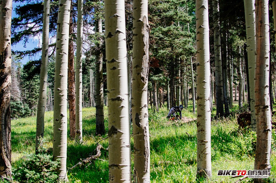 Angel Fire Bike Park,ʹ֮ɽس԰