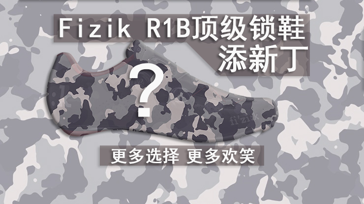 ˣFizik R1b·Ь¶˭Holdס