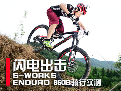 -S-WORKS ENDURO 650Bʵ